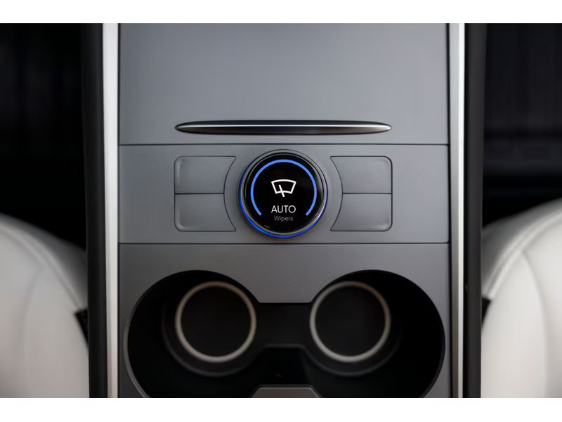 Enhance S3XY Knob für Tesla