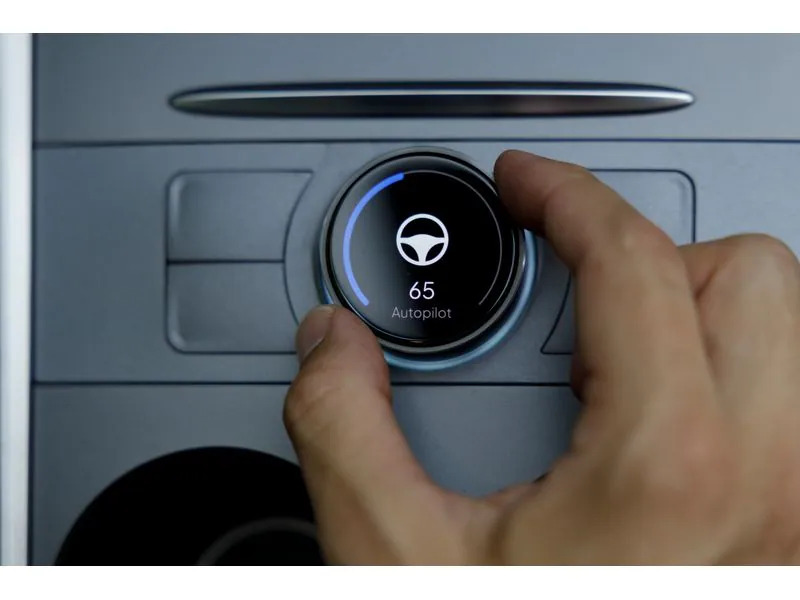Enhance S3XY Knob für Tesla