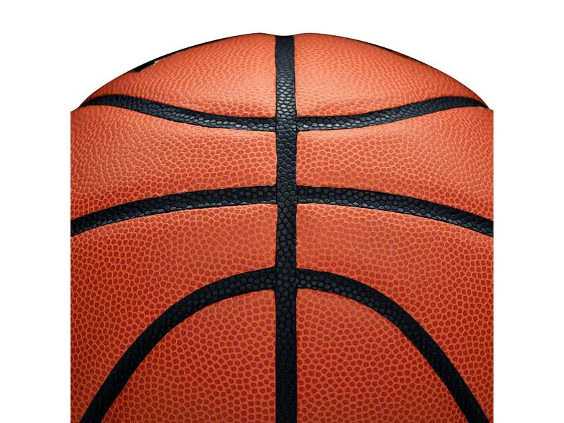 Diverse Basketball Evolution Game Ball