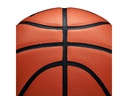 Diverse Basketball Evolution Game Ball