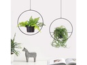 Wallxpert Blumenampel 2er Set, Schwarz