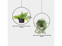 Wallxpert Blumenampel 2er Set, Schwarz
