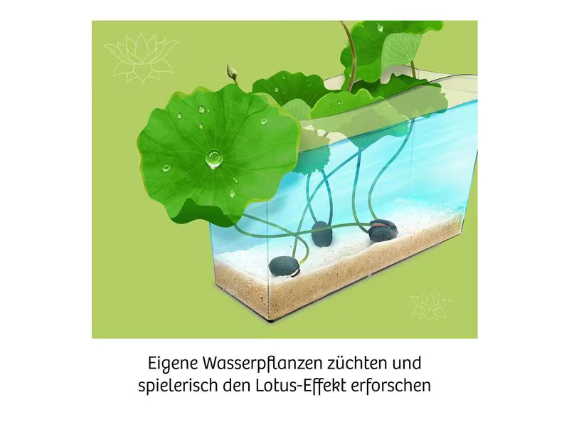 Kosmos Experimentierkasten Lotusblume