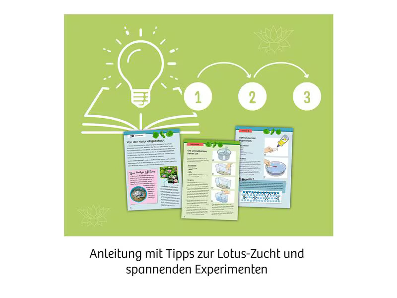 Kosmos Experimentierkasten Lotusblume