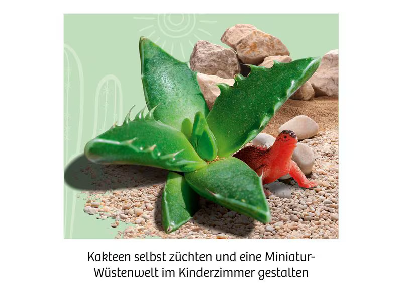 Kosmos Experimentierkasten Kakteen-Wüste