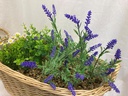 Dameco Kunstblume Lavendel und Kamille im Korb, 40 x 54 x 24 cm
