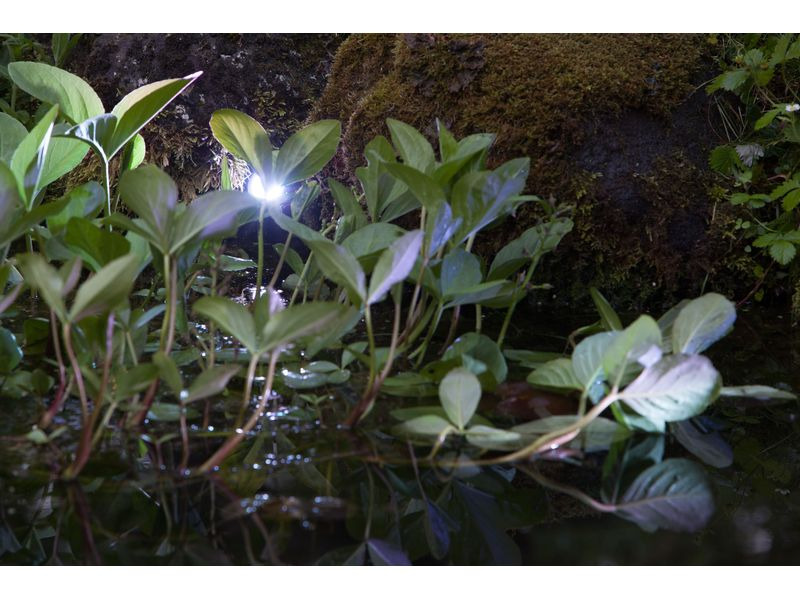 HEISSNER SMART LIGHT Spot, 4W Warmweiss, Metall