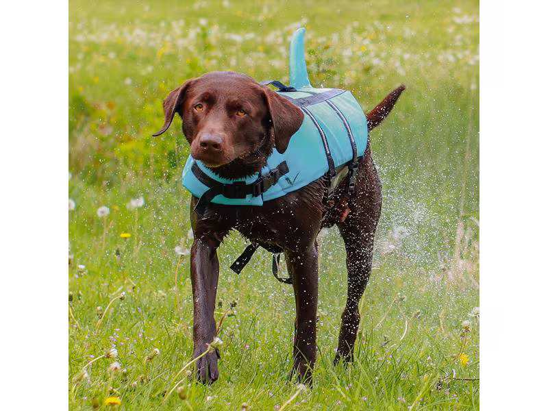 Nobby Schwimmweste Sharki XL, 45 cm, Blau