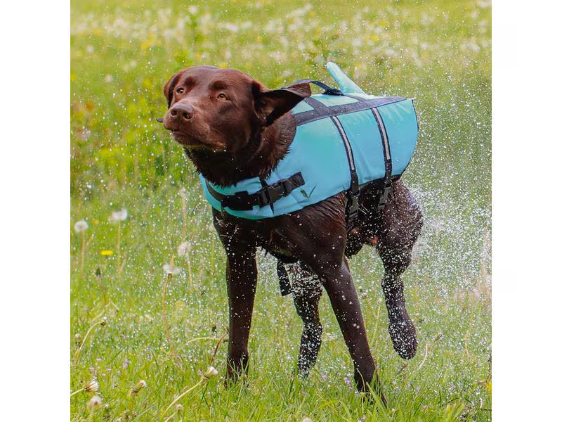 Nobby Schwimmweste Sharki L, 40 cm, Blau