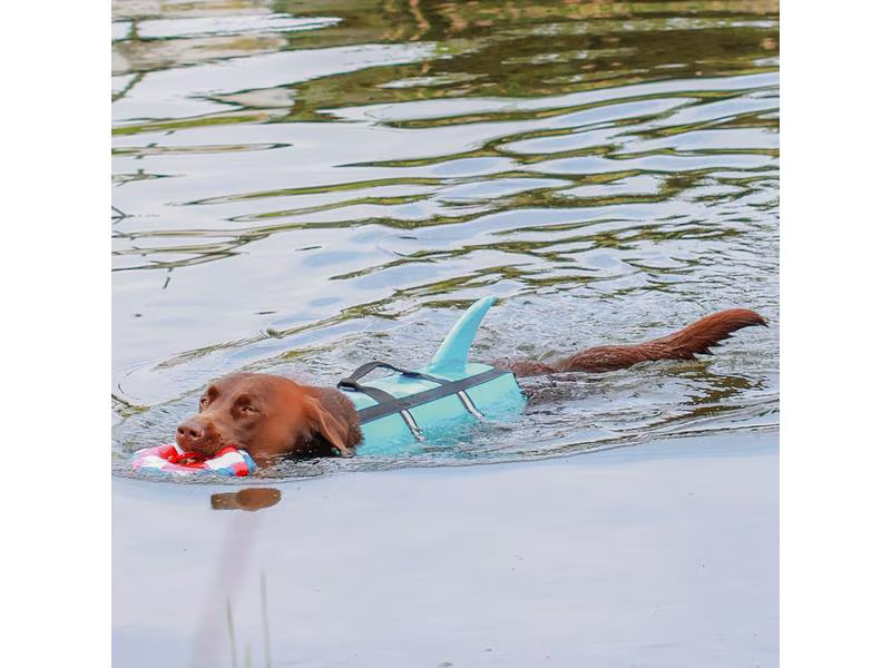 Nobby Schwimmweste Sharki L, 40 cm, Blau