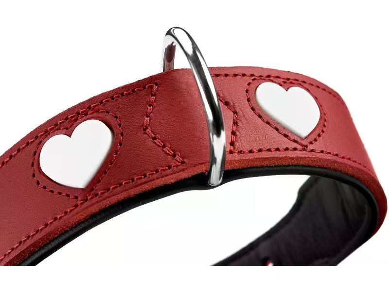 Hunter Halsband Love L (65), Rot/Schwarz