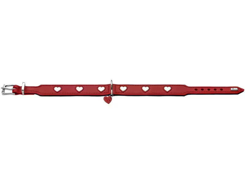 Hunter Halsband Love S-M (42), Rot/Schwarz