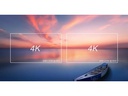 easescreen Giada DK310 ES-DK310-120/4 Intel Celeron J6412, 4 GB
