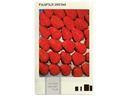 Fujifilm Sofortbildfilm Instax Mini 10 Blatt Photo Slide