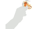 Clairefontaine Motivsticker Phospho Katzen