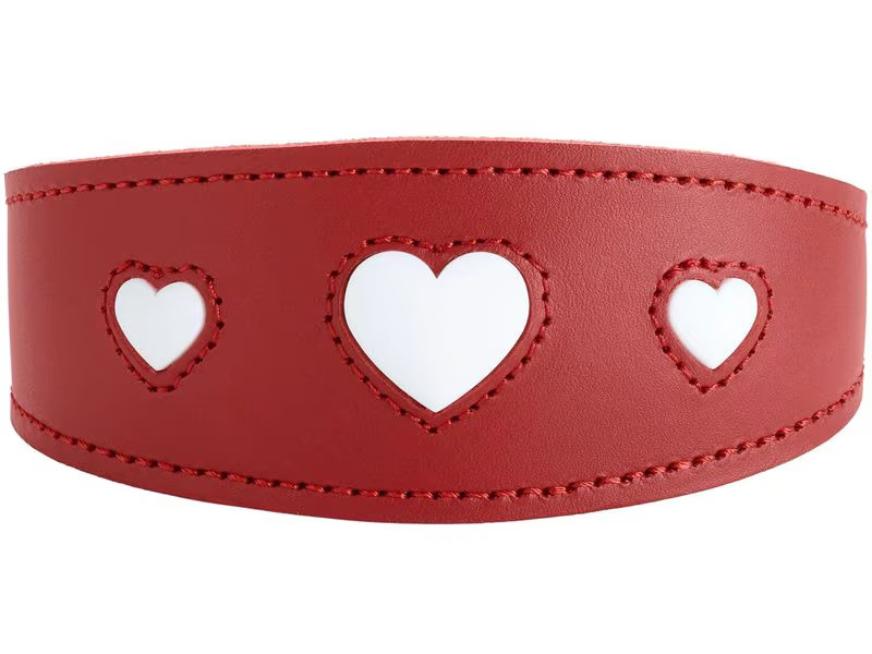 Hunter Halsband Windhund Love 32/XS, Rot/Schwarz