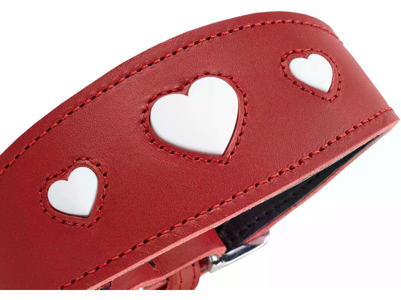 Hunter Halsband Windhund Love 32/XS, Rot/Schwarz