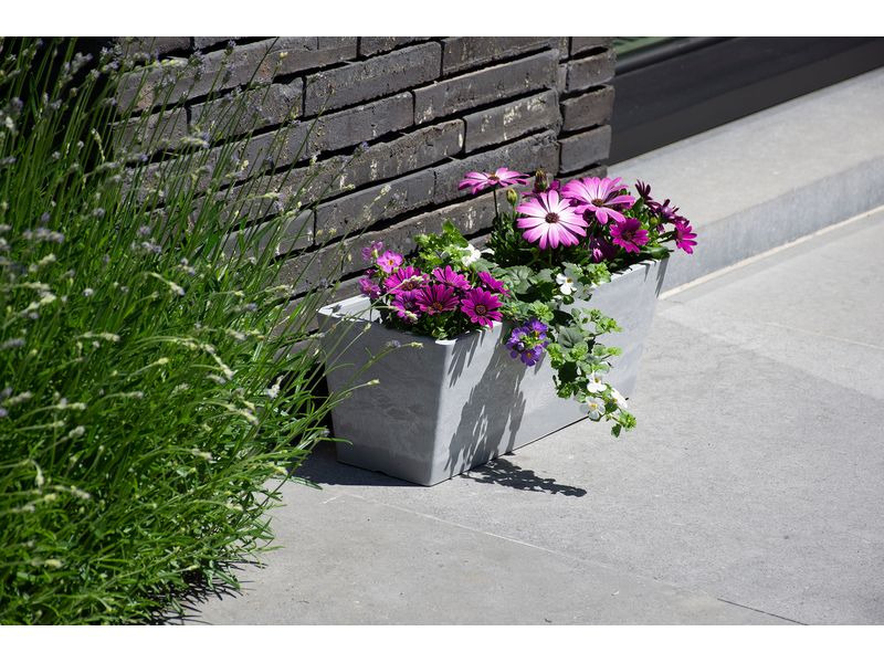 Van der Gucht Blumenkasten Woodstone 45 cm x 16 cm Hellgrau