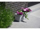 Van der Gucht Blumenkasten Woodstone 45 cm x 16 cm Hellgrau