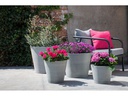 Van der Gucht Blumentopf Woodstone Ø 50 cm x 40.5 cm Grau gebürstet