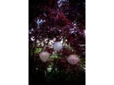 EGLO Leuchten Lampion SOLAR 1 LED, Ø 25 cm, Blau