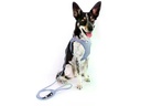 curli Geschirr Vest Air-Mesh 3XS SE24, Elemental-Blue