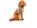 curli Geschirr Vest Air-Mesh 3XS SE24, Elemental-Blue