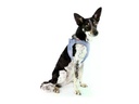 curli Geschirr Vest Air-Mesh 3XS SE24, Elemental-Blue