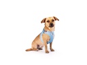 curli Geschirr Vest Air-Mesh 3XS SE24, Airblue