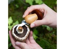 Kikkerland Schlüsselanhänger Pilz Braun