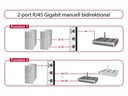 Delock Switchbox RJ-45, 2 Port GbE, manuell