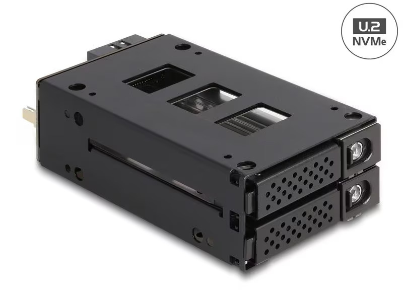 Delock Wechselrahmen Slim Bay U.2 NVMe 5.25