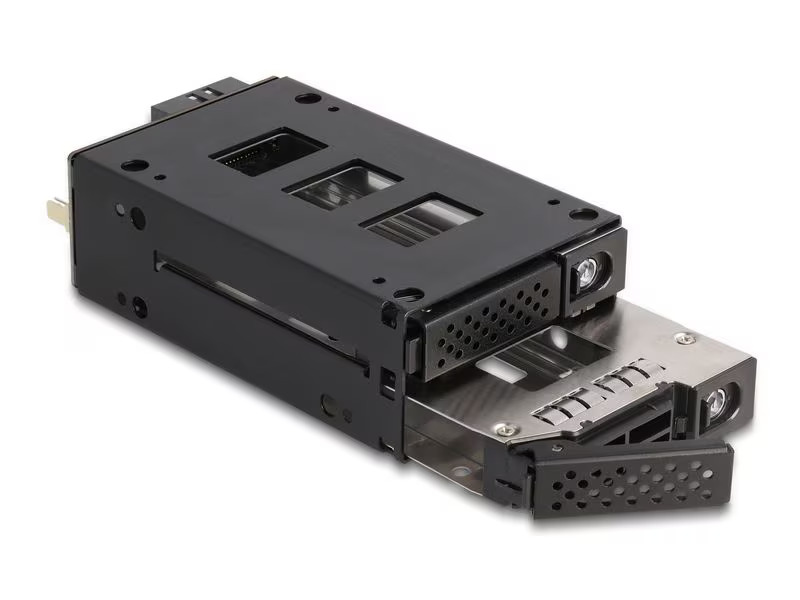 Delock Wechselrahmen Slim Bay U.2 NVMe 5.25