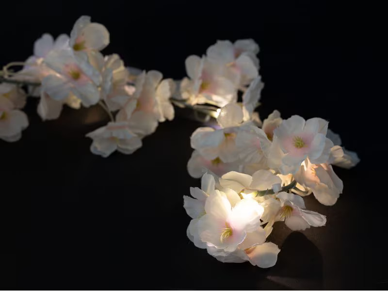 COCON Lichterkette LED Kirschblüten, 210 cm