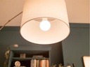 Philips Lampe LED 100W A67 E27 WW FR ND 2CT/6 EC Warmweiss