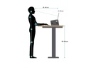smart stand Notebook-Ständer 16 , Apfelgrün