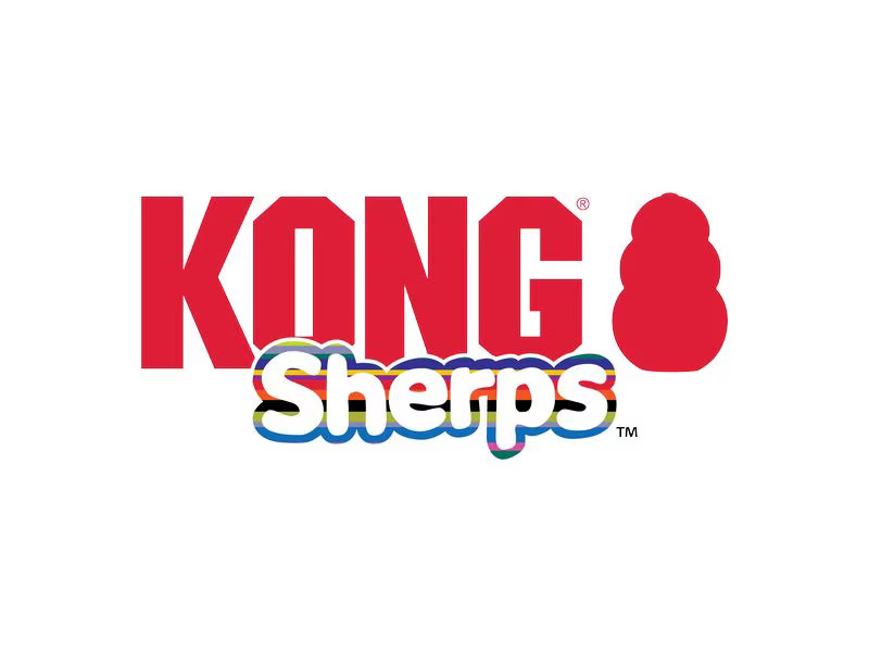 Kong Lama Sherpa, 21 x 8.3 x 17.8 cm