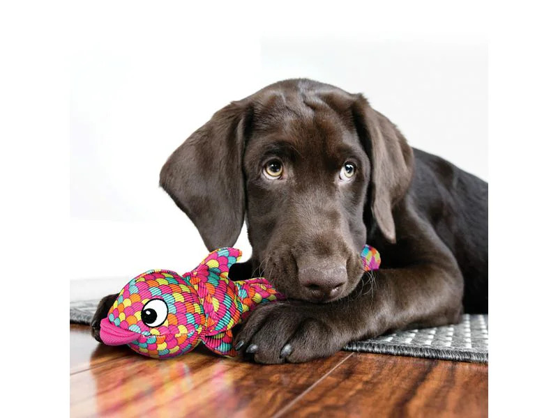 Kong Hunde-Spielzeug Wubba Finz Fisch L, blau