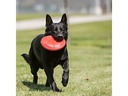 Kong Hunde-Spielzeug Flyer Frisbee, Ø 18 cm, rot