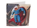 CRAFT Buddy Bastelset Crystal Art Card Superman