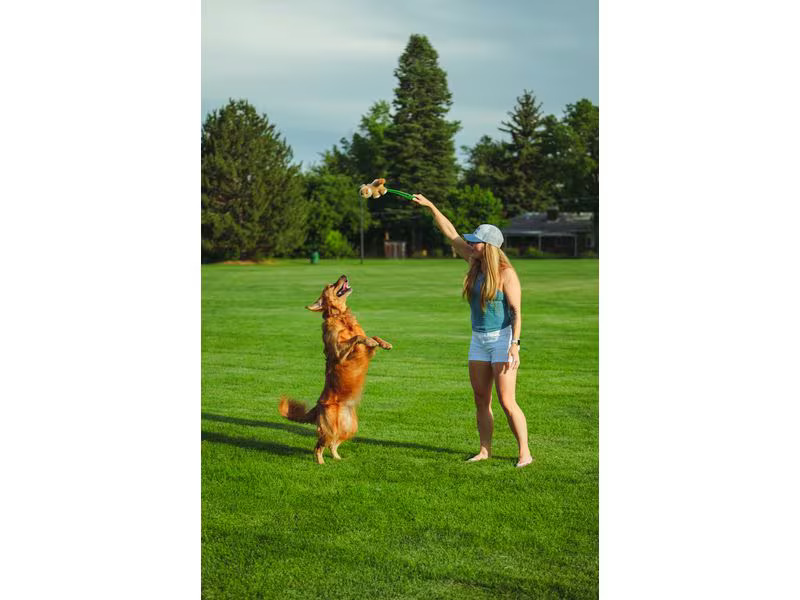 Hunter Hunde-Spielzeug Flingerz Furry Eichhörnchen, Braun/Grün