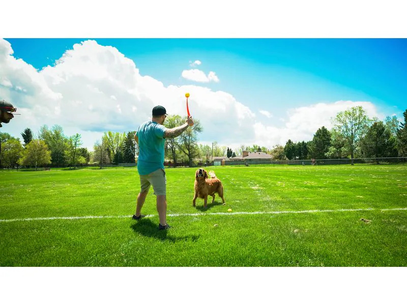 Hunter Hunde-Spielzeug Flingerz Ball mit Launcher, Orange/Gelb