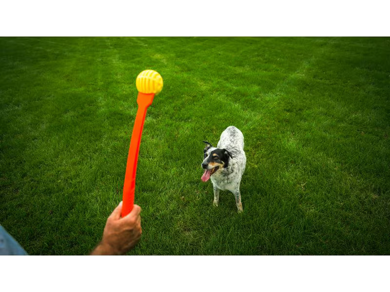 Hunter Hunde-Spielzeug Flingerz Ball mit Launcher, Orange/Gelb