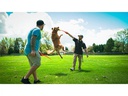 Hunter Hunde-Spielzeug Flingerz Ball mit Launcher, Orange/Gelb