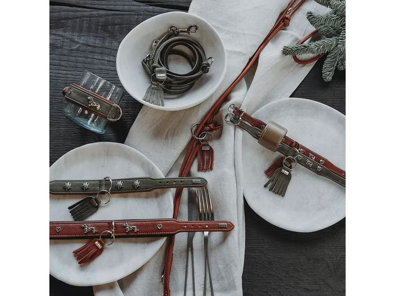 Hunter Halsband München Mini 30/XS, Rindsleder, Cognac/Schwarz