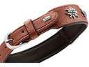 Hunter Halsband München 55/M, Rindsleder, Cognac/Schwarz