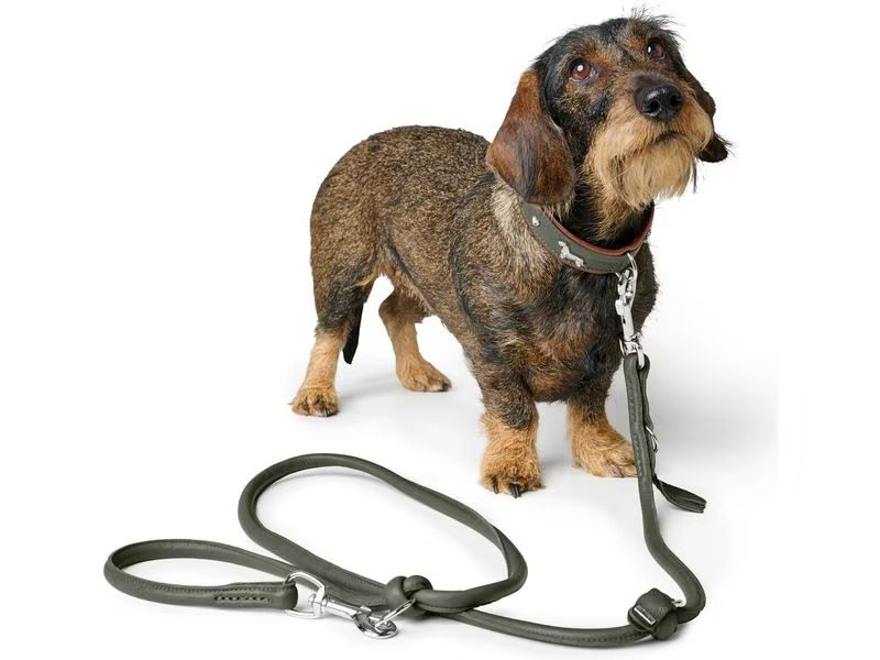Hunter Teckel-Halsband München 37/XS-S, Rindsleder, Grün/Cognac