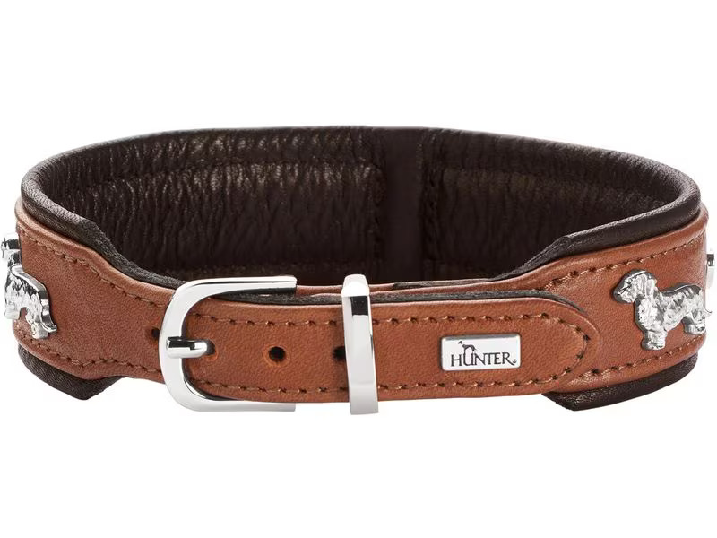 Hunter Teckel-Halsband München 37/XS-S, Rindsleder, Cognac/Schwarz