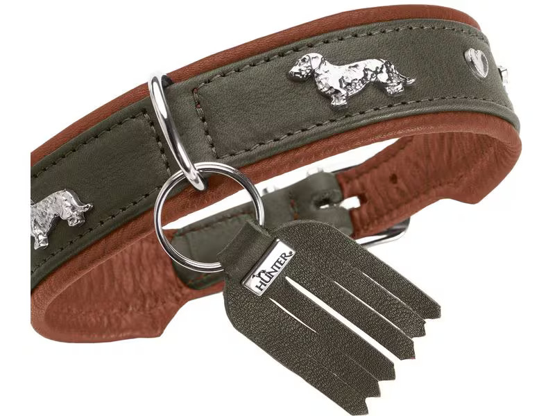 Hunter Teckel-Halsband München 32/XS, Rindsleder, Grün/Cognac