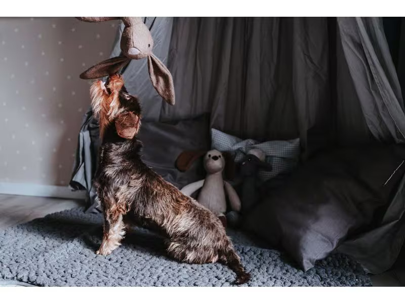 Hunter Hunde-Spielzeug Marle Hase, 35 cm, Braun